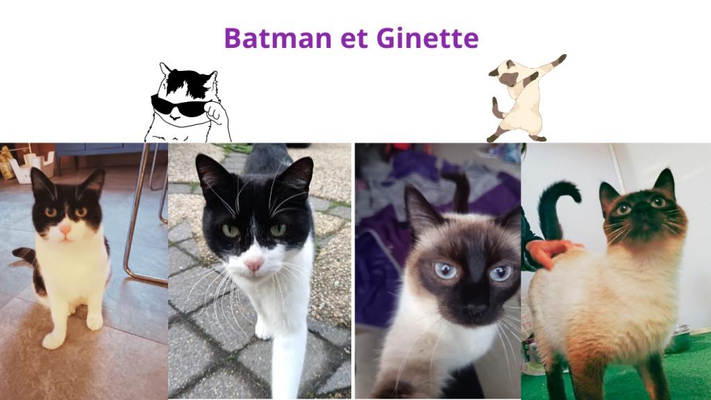 Pet sitter à Nantes : Promenades et visites à domicile pour vos animaux Pet sitter à Nantes : Promenades et visites à domicile pour vos animaux