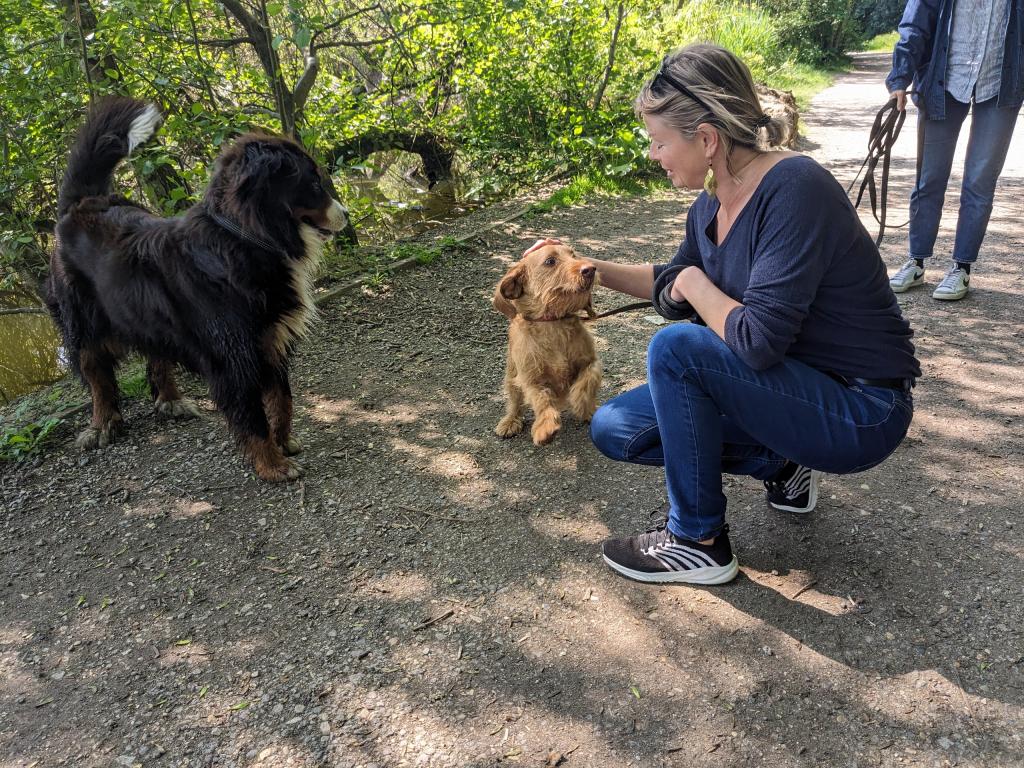 Pet sitter à Nantes : Promenades et visites à domicile pour vos animaux Pet sitter à Nantes : Promenades et visites à domicile pour vos animaux