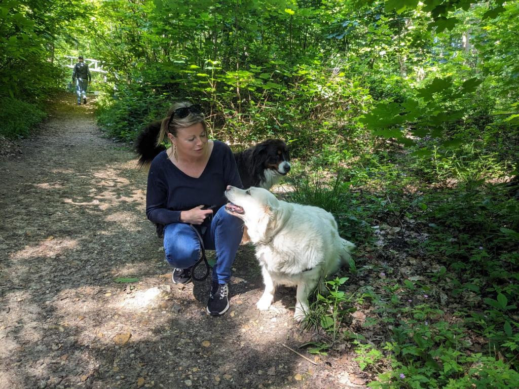 Pet sitter à Nantes : Promenades et visites à domicile pour vos animaux Pet sitter à Nantes : Promenades et visites à domicile pour vos animaux
