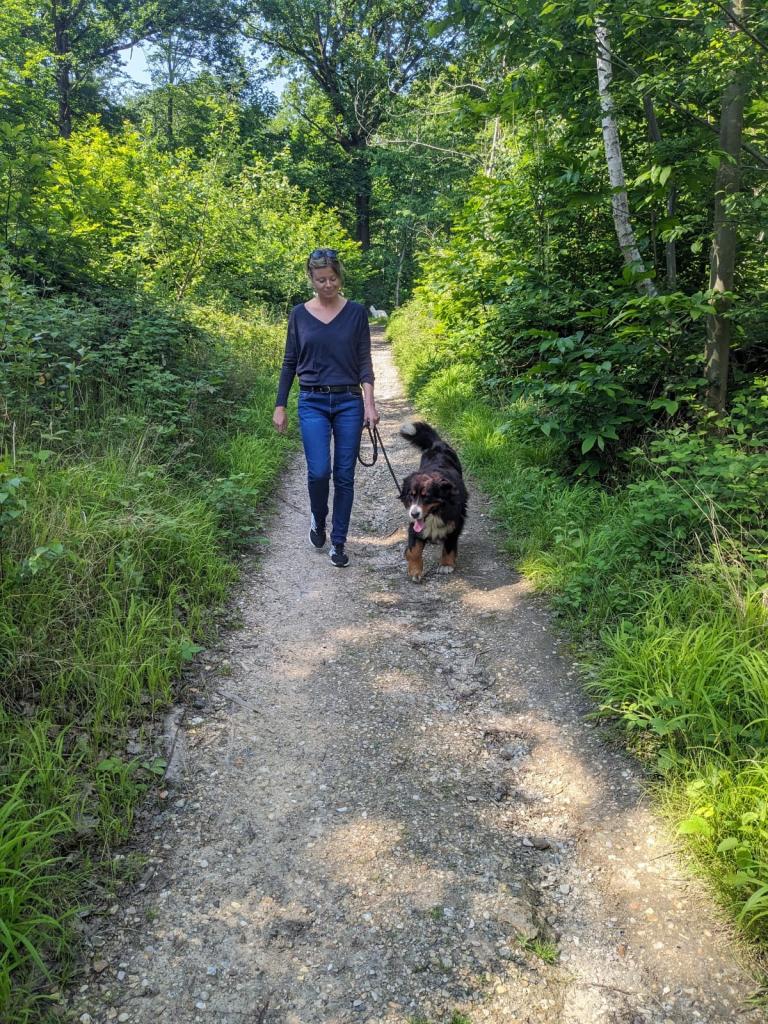 Pet sitter à Nantes : Promenades et visites à domicile pour vos animaux Pet sitter à Nantes : Promenades et visites à domicile pour vos animaux